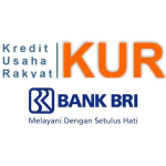 BRI Bungo Tak Patuhi Aturan, Nasabah KUR di Bawah Rp 100 Juta Masih Diminta Agunan