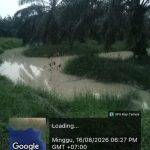Diduga Rusak Lingkungan, PT Mega Sawindo Perkasa Tanam Sawit di Sempadan Sungai Batang Pelepat Bungo