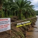 Tanam Pohon Sawit di Sempadan Sungai, PT Mega Sawindo Perkasa Terancam Pidana