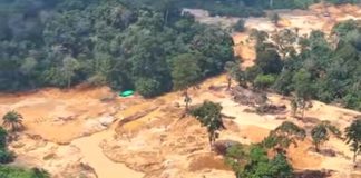 PETI di Bungo Kembali Telan Korban Jiwa