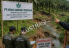 PT Mega Sawindo Perkasa Diduga Langgar Aturan, Pemda Bungo Diminta Turun Tangan